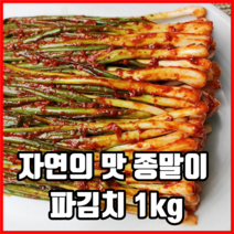 자연의 맛 종말이 파김치 1kg 국산파김치 국내산파김치 전라도파김치 갓김치, 1세트