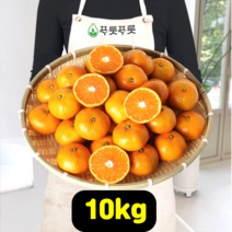푸릇푸릇 2022년 귤 제주 감귤 한라봉 제주도귤 노지감귤 극조생귤 5kg 10kg, 제주감귤, SS사이즈