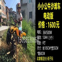 4륜 오프로드 산악전동 ATV 바이크 산악용 스쿠터, 1.小小公牛沙滩车套餐1（儿童版）