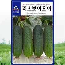 러스보이오이씨 연속착과력이 뛰어나 수확량이 많은 피클오이씨앗 채소종자 50립
