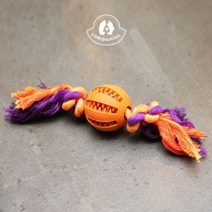 컴패니언 스케일링볼 원형 랜덤발송
