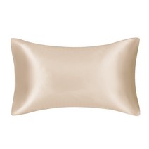 수면 보조기구 코골이 이갈이 sleep 방지 주름 울트라 소프트 새틴 베갯잇과 봉투 마감 멀티 컬러 킹 퀸 베개 케 스 머리카락과 피부, 우리 여왕(20x30인치), 샴페인