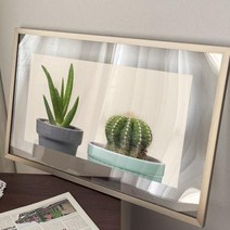 기타 바보사랑[꾸밈]투명액자58CmX38Cm_다육식물