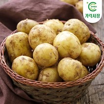 [온도씨]가락시장 감자 1kg, 1개