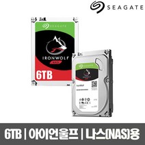 씨게이트 공식인증점 아이언울프 NAS 하드디스크 6TB ST6000VN001 HDD