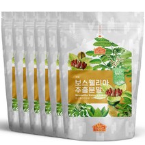 닥터비옴 인도 100% 보스웰리아추출분말 300g, 6개입