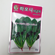 안산 플라워마트 상추 씨앗, 1개, 시금치