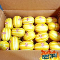 못난이참외 상주참외 성주참외 성주 1.5kg, 가정용혼합크기