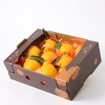 알동네 제주 한라봉 2kg 3kg 5kg 중과 로얄과 소과 선물용 가정용, 1박스, 한라봉2kg중과(5-6과)선물세트