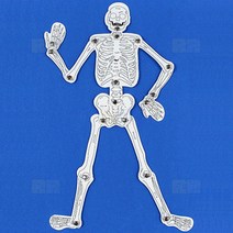 인체골격 만들기(우리몸의 뼈구조)