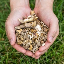 봉래종합약초 국산 갈대뿌리(노근) 200g 18개입 박스/한방/건강/약초/약재 식품 > 건강식품 전통건강식품 기타전통건강식품/한방재료, 1″ class=”wr-img”></a></div></p></div></p></div></p></div><div class=