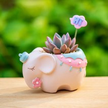 ROOGO 루고 다육이 미니화분 캐릭터 동물 화분 코끼리 (다육식물 불포함)