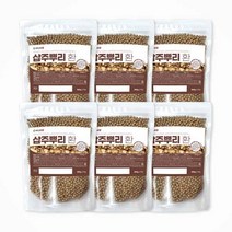 백장생 국내산 삽주뿌리환 백출환 300g, 6개