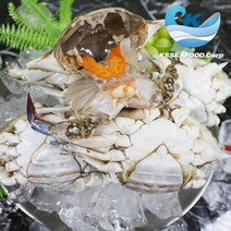 [산지직송] 알배기 몽당꽃게 알배기 절단꽃게 최상급 숫몽당 숫절단, 최상급 숫절단 꽃게, 2kg, 1개