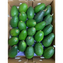 프리미엄 특A 아보카도 생과, 24개, 5.5kg