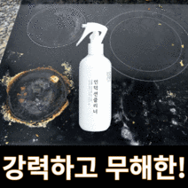알뜰살림 인덕션 클리너 오븐 텀블러 세척 크리너 무균무때 세정제, 300ml, 1개