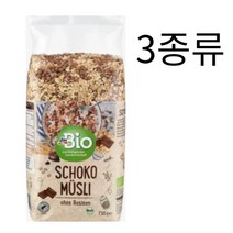 dm 독일 시리얼 뮤즐리 3종류