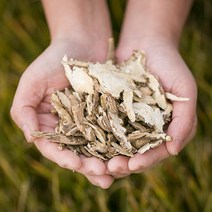 봉래 국산 당귀(말린당귀) 200g/토종참당귀/승검초/천궁/당귀천궁차/갈근 식품 > 건강식품 전통건강식품 기타전통건강식품/한방재료, 200g, 1, 200g” class=”wr-img”></a></div></p></div></p></div></p></div><div class=