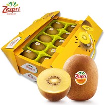 제스프리 골드키위 2단 선물세트 2.8kg내외 (20개입), 단품