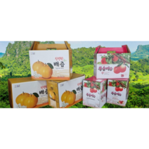 조치원 배즙 복숭아즙 120ml 50포 100포, 복숭아즙50개