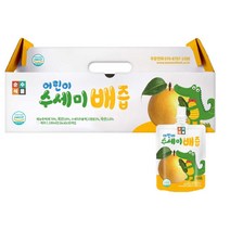 순수식품 어린이 수세미 배즙 1박스(100mlX30포) 1179986, 30포, 100ml