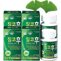 상상 징코후 6개월 은행잎추출물 혈행개선, 6통, 500mg