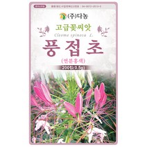 대엽 민들레 1000립 - 야생화 씨앗 꽃씨 씨 꽃씨앗 야생화씨앗 고급꽃씨 고급꽃씨앗 민들레씨 민들레씨앗, 18_다농_풍접초(연분홍색)(0.5g)