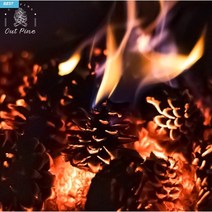 아웃파인 프리미엄 캠핑 불멍 솔방울 40ea 60ea 캠핑불멍 땔깜 장작