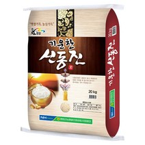 영암군농협 기운찬 신동진 20kg, 단품, 1개