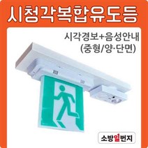 시청각복합유도등 중형 양/단면 비상구 피난구 음성안내음 시각경보기 소방일번지, 양면