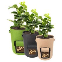 10갤런 부직포 화분 베란다 텃밭 농작물 고구마키우기 화분 박스 베란다 집에서 옥상 텃밭 블루베리, 10갤런고구마화분