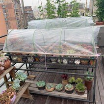 다육이겨울나기 미니온실 비닐하우스 베란다 옥상 식물 보온 조립식 화분 덮개 월동 바람막이, 길이 150 폭 88 높이 52 cm