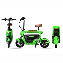 반려견과 함께타는 클래식 전기 스쿠터 12A 15A, 15A 배터리 수명 65-70KM, 그린