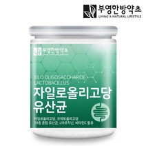 부영한방약초 자일로 올리고당 유산균 분말, 1개, 180g