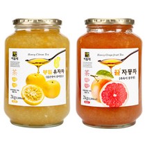 본비 블렌디드 액상차 2kg x 2개 한라봉오미자 유자생강, 한라봉오미자+유자생강