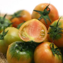 (롯데백화점)(2/15순차출고)(정상철 생산자) 흙사랑 짭짤이 대저토마토 2k (예약상품 2023.02.15 부터 발송)