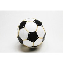 21세기과학상사 [21세기] 분자모형 축구공만들기 5인세트