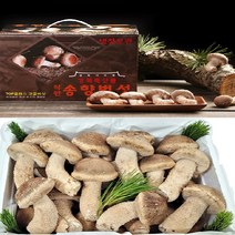 송이향버섯 친환경무농약 선물용, 송향일등급500g