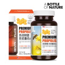 프리미엄 미국 프로폴리스 알약 아연 365캡슐, 단품
