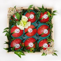 [1/20오전8시까지설당일배송] 파머스스토리 프리미엄 석류 과일바구니 5.5kg내외, 없음