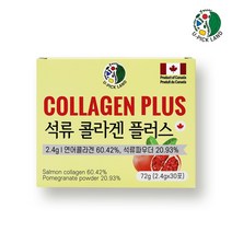 석류콜라겐 엘라그산 히알루론산 엘라스틴 연어콜라겐 저분자 비타민C 이너뷰티, 1, 2.4g/30포