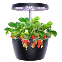 가정용스마트팜 수경 재배 시스템 실내 허브 정원 스타터 키트 with led Grow light smart garden planter for home 자동 스마트팜 30, 블랙오 플러그