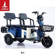 충전식 전기 삼륜자전거 45km 운동 스쿠터 애견 실내 피닉스 전기 세발자전거 위한 소규모 가족 승하차 노인용, A.48V, Q.Liwulan 60v20a 리튬 배터리 약 40km