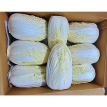 알배기배추 못난이알배기배추 12-20통 8-10kg내외, 못난이 알배기배추 12-20통 8-10kg내외
