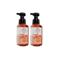 BBW 배쓰앤바디웍스 젠틀 포밍 핸드솝 핸드워시 2팩 오렌지 진저, Orange, 8.75 Fl Oz (Pack of 2)
