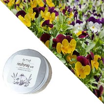 늘향 늘향 싱그럽고향긋한 가든파티향 틴케이스캔들 90ml (2737414)
