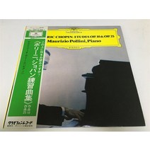 마카롱 LP판 희귀앨범 레코드판 턴테이블 쇼팽 피아노 에튀드 Opus 1025 Poligny on Vinyl