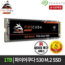 씨게이트 파이어쿠다 530 NVME SSD / ZP500GM3A013 /정품/5년보증/데이타복구, 1TB, ZP1000GM3A013