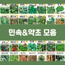 민속 채소 씨앗 종자 약초 도라지 더덕 공심채 잔대 냉이 고들빼기 방아잎 곤드레 당귀 텃밭, 14.백하수오