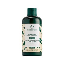 The Body Shop 더 바디샵 진저 스칼프 케어 헤어 컨디셔너 250ml, 1개